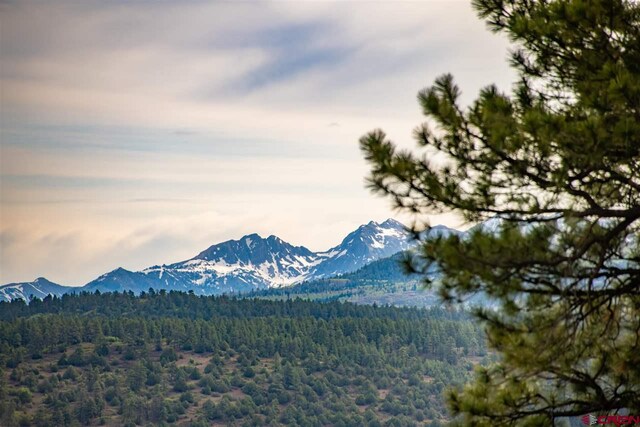 view of mountain feature