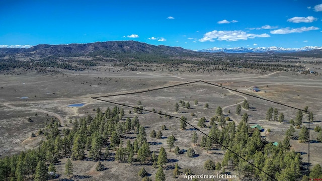 drone / aerial view with a mountain view