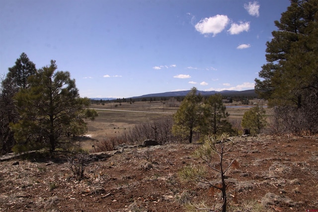 173 Pacifico Dr, Pagosa Springs CO, 81147 land for sale