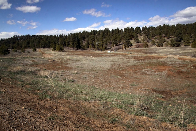 523 Trails Blvd, Pagosa Springs CO, 81147 land for sale