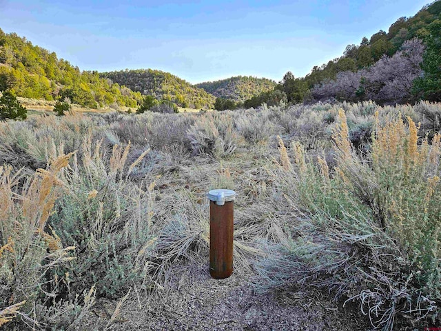 Listing photo 2 for TBD De Oro Way, Hesperus CO 81326