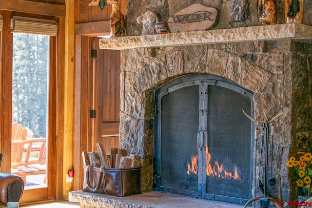 details featuring a stone fireplace