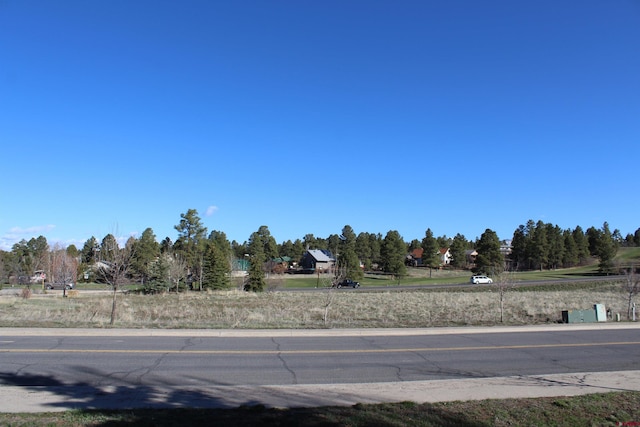 Listing photo 2 for X Cornerstone Dr, Pagosa Springs CO 81147