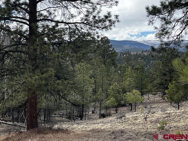 505 N Skyline Dr, South Fork CO, 81154 land for sale