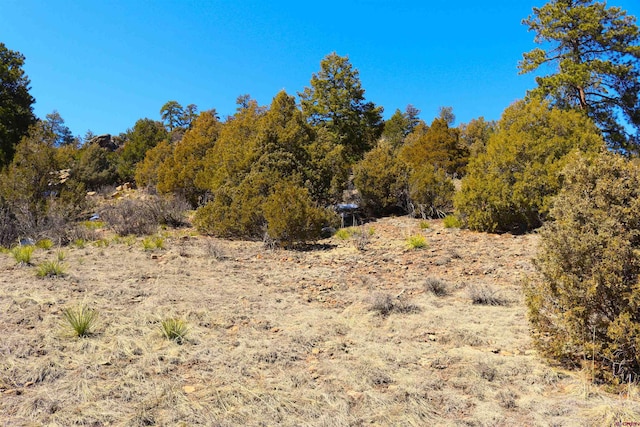 67 Hillside Ln, South Fork CO, 81154 land for sale