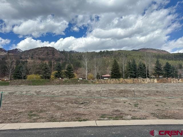 Listing photo 3 for 380 Trimble Crossing Dr, Durango CO 81301