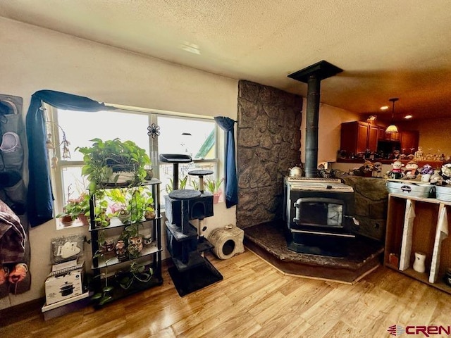 interior space with a wood stove, light hardwood / wood-style flooring, and plenty of natural light