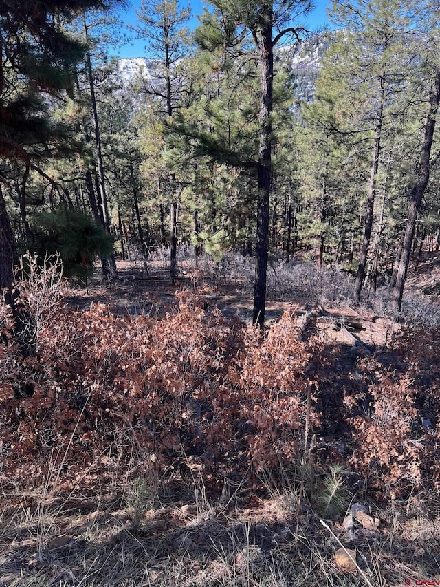 238 Deer Ridge Dr, Bayfield, CO 81122