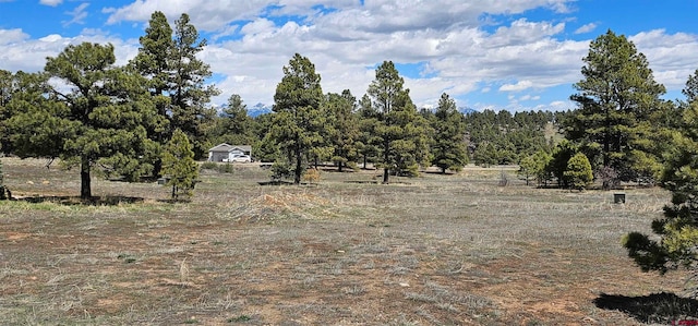 Listing photo 3 for 567 Sam Houston, Pagosa Springs CO 81147