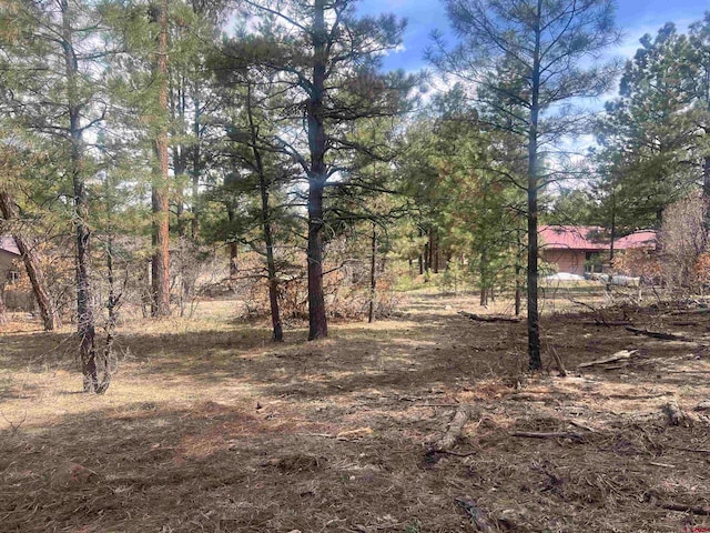 822 Hills Cir, Pagosa Springs CO, 81147 land for sale