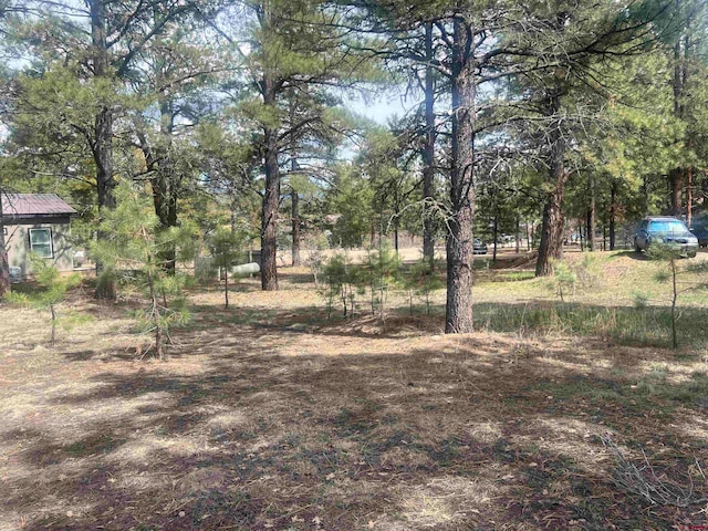 Listing photo 3 for 822 Hills Cir, Pagosa Springs CO 81147