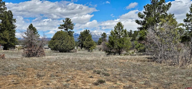 1570 Cool Pnes, Pagosa Springs CO, 81147 land for sale