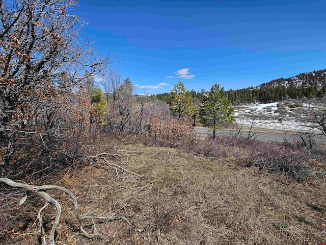 448 Clint Cir, Pagosa Springs CO, 81147 land for sale