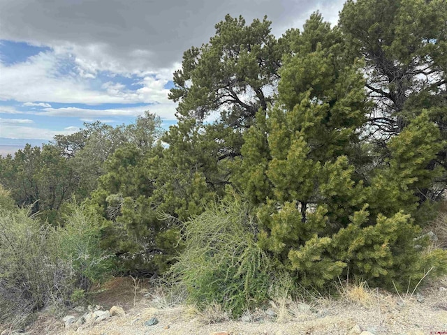 338 Cedar Ridge Rd, Mosca CO, 81146 land for sale