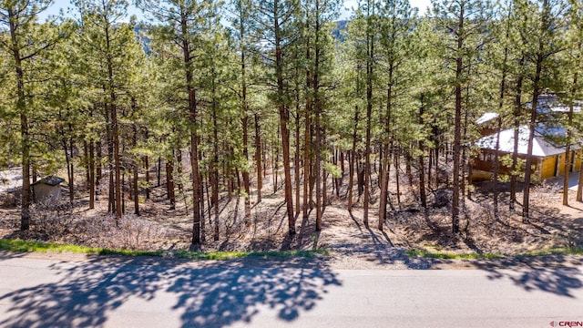 471 Iron King, Durango CO, 81301 land for sale