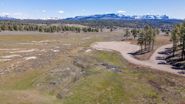 109 Hemlock, Pagosa Springs CO, 81147 land for sale