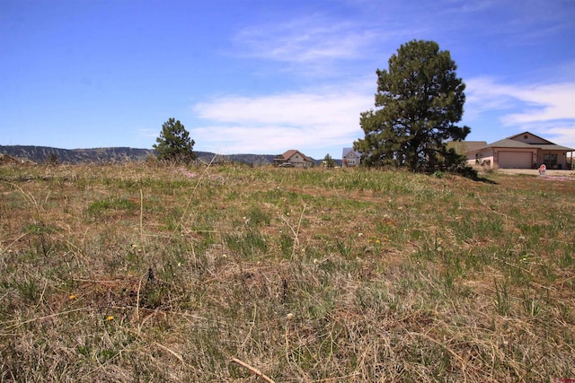 Listing photo 3 for 33 Paradise Dr, Pagosa Springs CO 81147