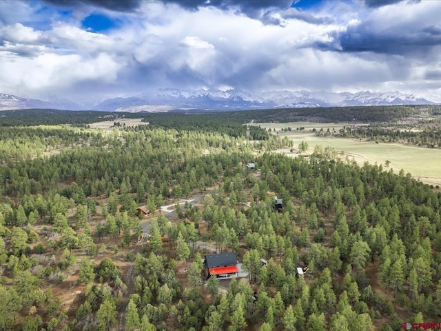 drone / aerial view featuring a mountain view