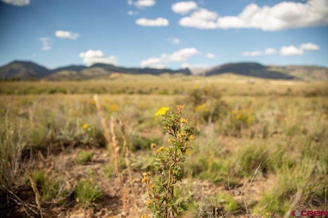 3940 Vista Grande Dr, Creede CO, 81130 land for sale