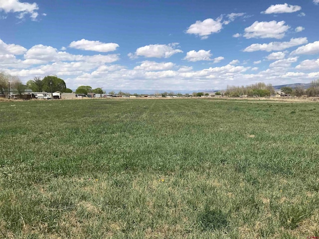 TBD Spring Creek Road, Montrose CO, 81403 land for sale