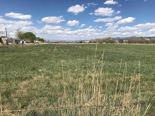 Listing photo 2 for TBD Spring Creek Road, Montrose CO 81403