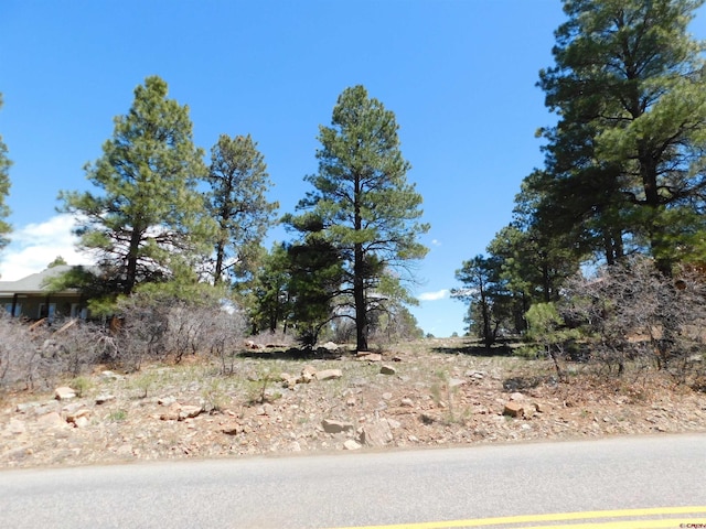 49 Masters Cir, Pagosa Springs CO, 81147 land for sale