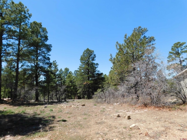 Listing photo 2 for 49 Masters Cir, Pagosa Springs CO 81147