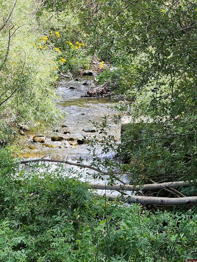 view of nature featuring a water view