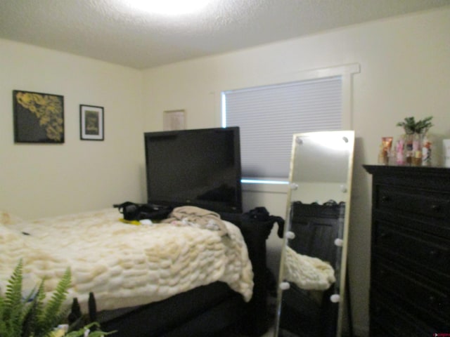 bedroom featuring a textured ceiling