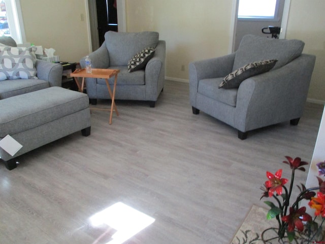 living room featuring light hardwood / wood-style floors