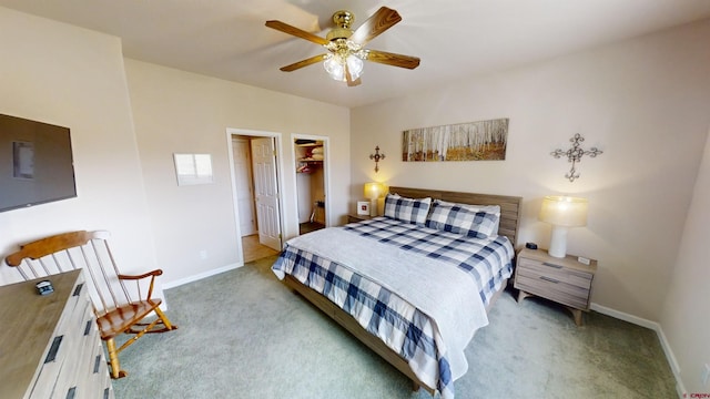 bedroom with ceiling fan, a walk in closet, a closet, and carpet floors