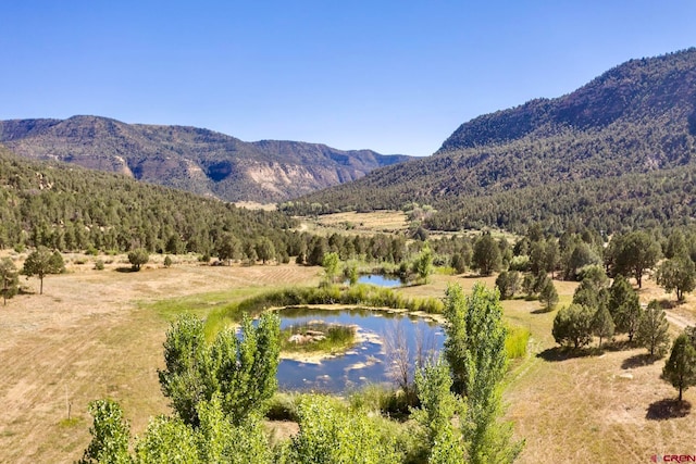 3217 Rd 41, Mancos CO, 81328 land for sale