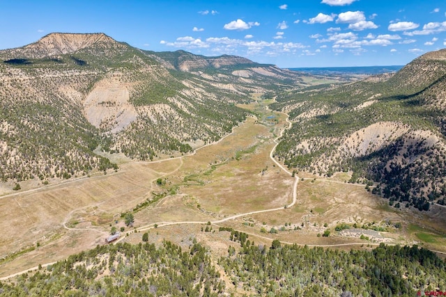 1401 Rd 41, Mancos CO, 81328 land for sale