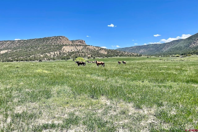 Listing photo 2 for 1401 Rd 41, Mancos CO 81328