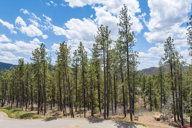 1091 Red Canyon Trl, Durango CO, 81301 land for sale