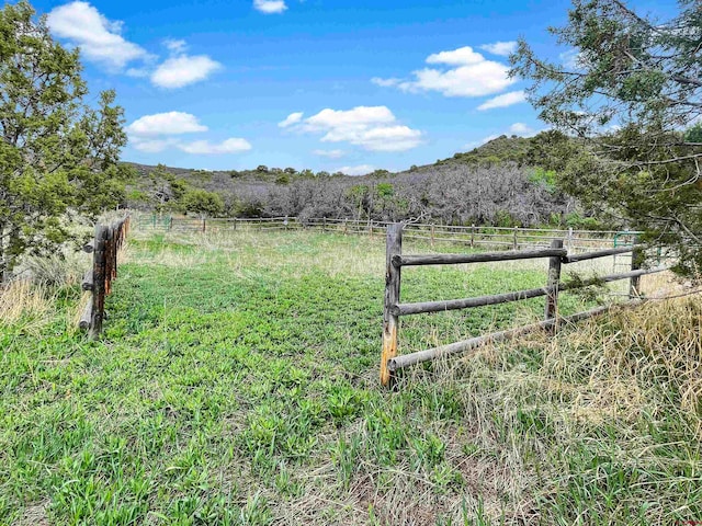 view of yard featuring a rural view and a mountain view