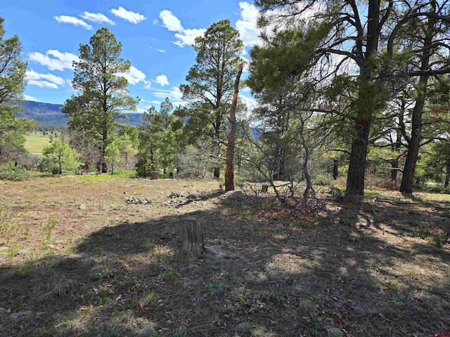 484 Prospect Blvd, Pagosa Springs CO, 81147 land for sale