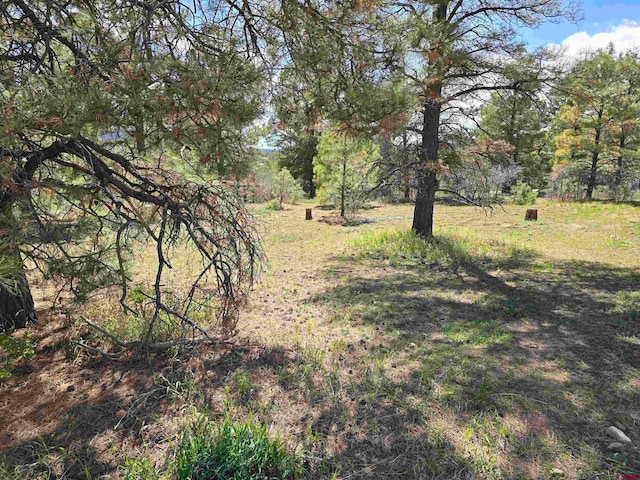 Listing photo 2 for 484 Prospect Blvd, Pagosa Springs CO 81147