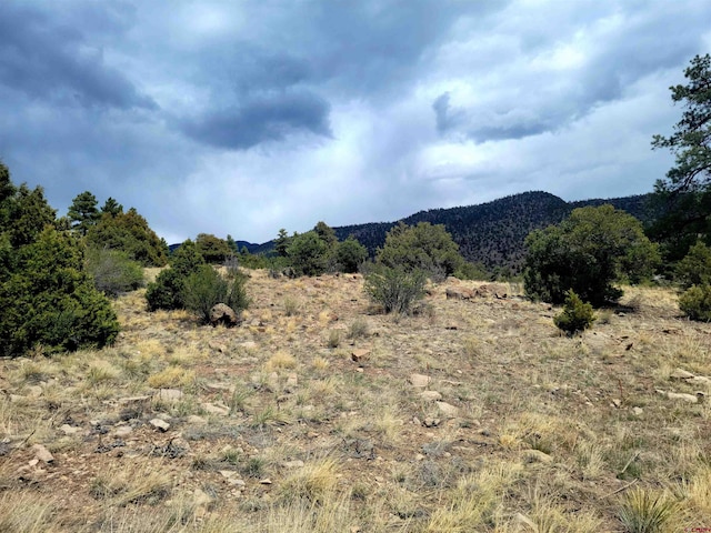 530 Blanca Vista Dr, South Fork CO, 81154 land for sale