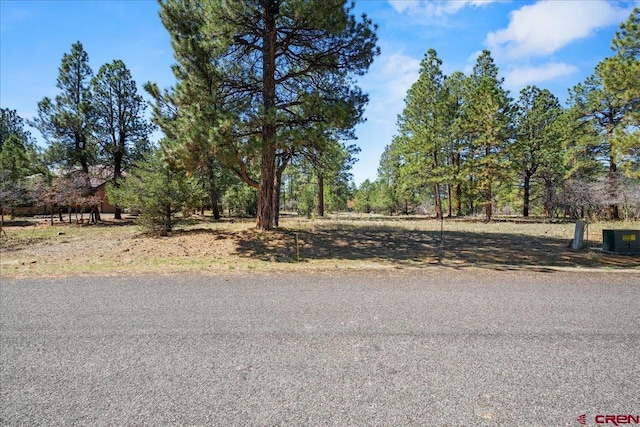 Listing photo 2 for TBDLOT430 S Badger Trl, Ridgway CO 81432