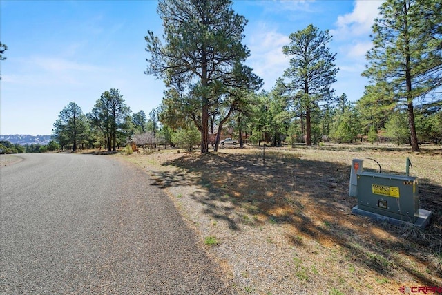 Listing photo 3 for TBDLOT430 S Badger Trl, Ridgway CO 81432