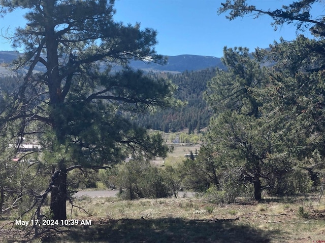 311 Vista De Verde Cir, South Fork CO, 81154 land for sale