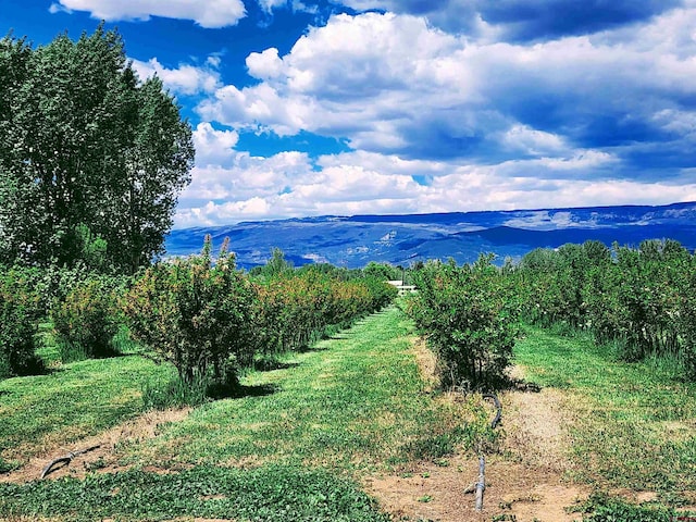 view of mountain view