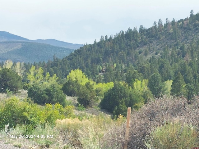 2166 Bear Creek Cir, South Fork CO, 81154 land for sale