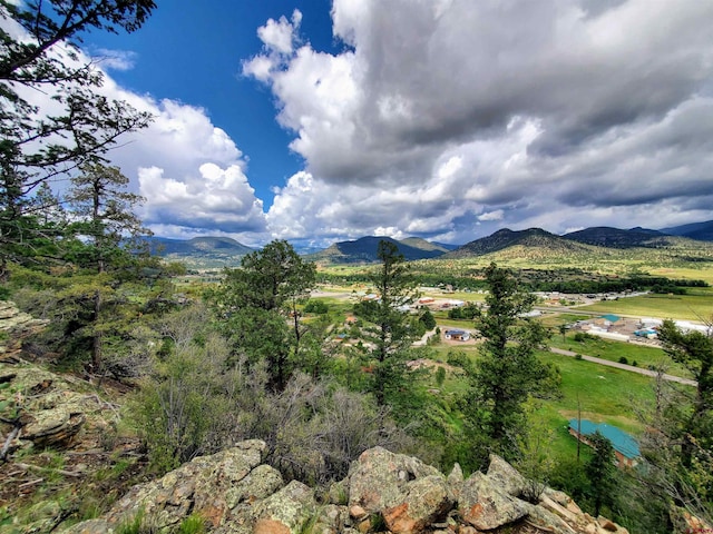 Listing photo 2 for 0253 Aspen Cir, South Fork CO 81154