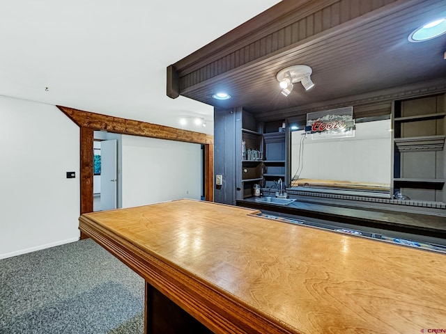 kitchen with sink and carpet floors