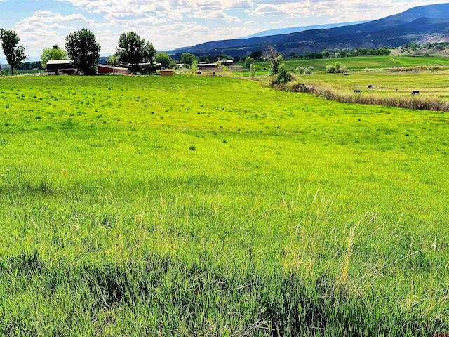 mountain view featuring a rural view