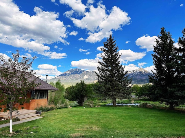 view of yard featuring a mountain view