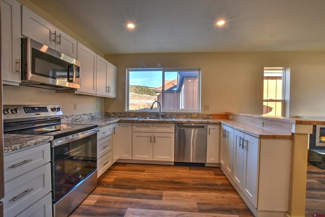 kitchen with dark wood finished floors, appliances with stainless steel finishes, a healthy amount of sunlight, a sink, and a peninsula