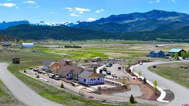 aerial view with a rural view and a mountain view